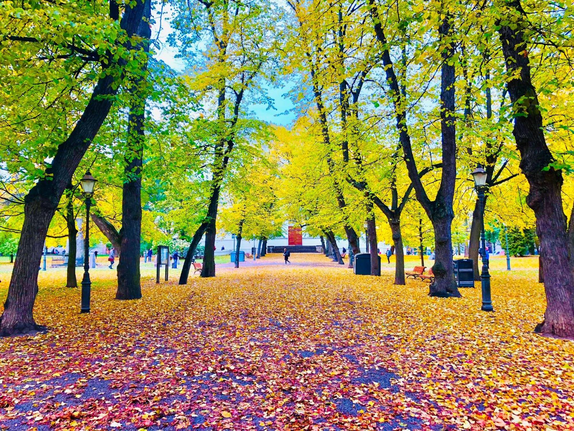 Scandinavian Home In Heard City Helsingfors Exteriör bild